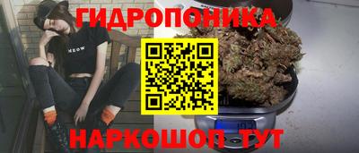 хмурый Гатчина